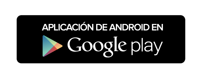 Website Canales De Servicios 07
