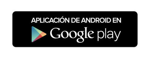 Website Canales De Servicios 07 P 500